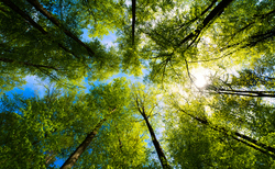 Demand for sustainable investing wanes amid doubts﻿