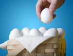 Hand placing egg in basket